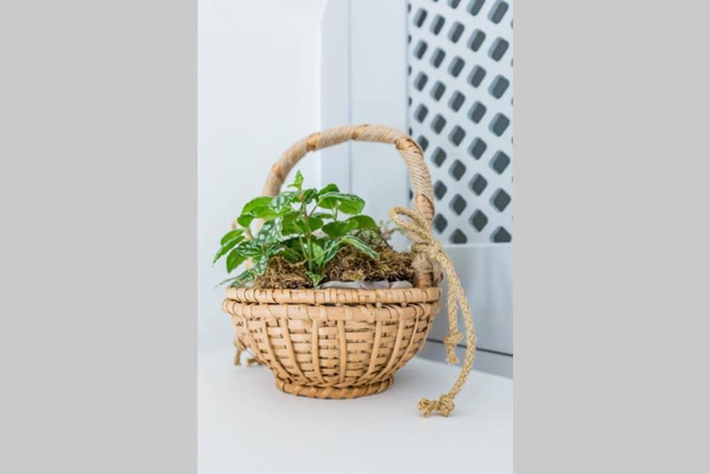 Myrtia House Skopelos Zewnętrze zdjęcie